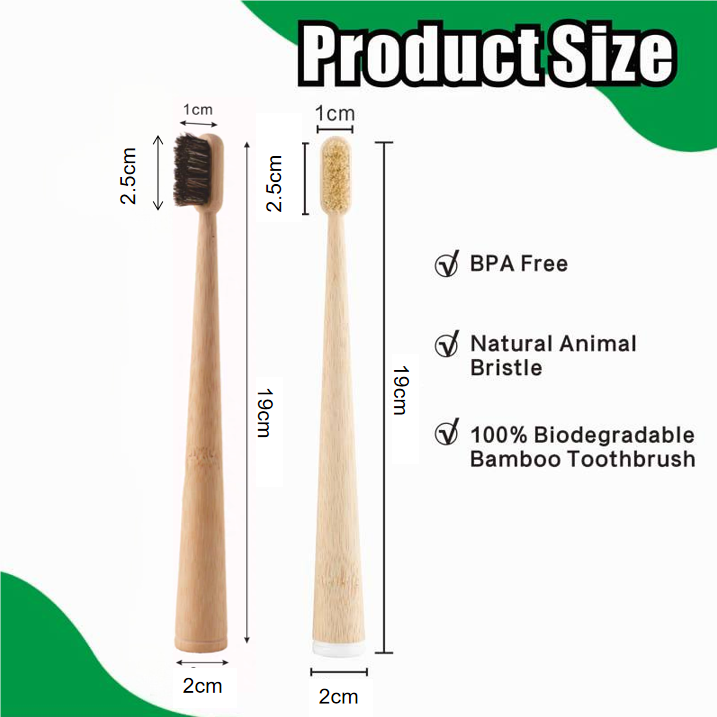 4 Pack Boar Bristle / Horse Br - Bamboo Toothbrush review and price